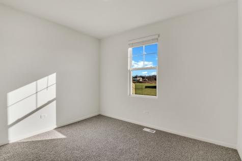 1259 Tiger Lily Drive Bartlett IL 60103