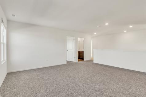 1259 Tiger Lily Drive Bartlett IL 60103