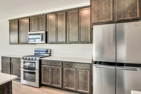 1259 Tiger Lily Drive Bartlett IL 60103