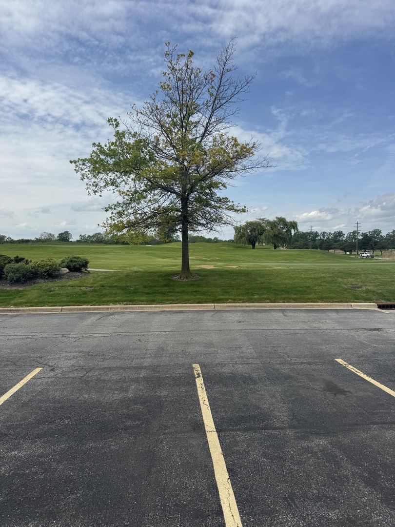 12321 Meadow Lane Blue Island IL 60406