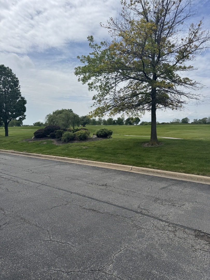 12321 Meadow Lane Blue Island IL 60406
