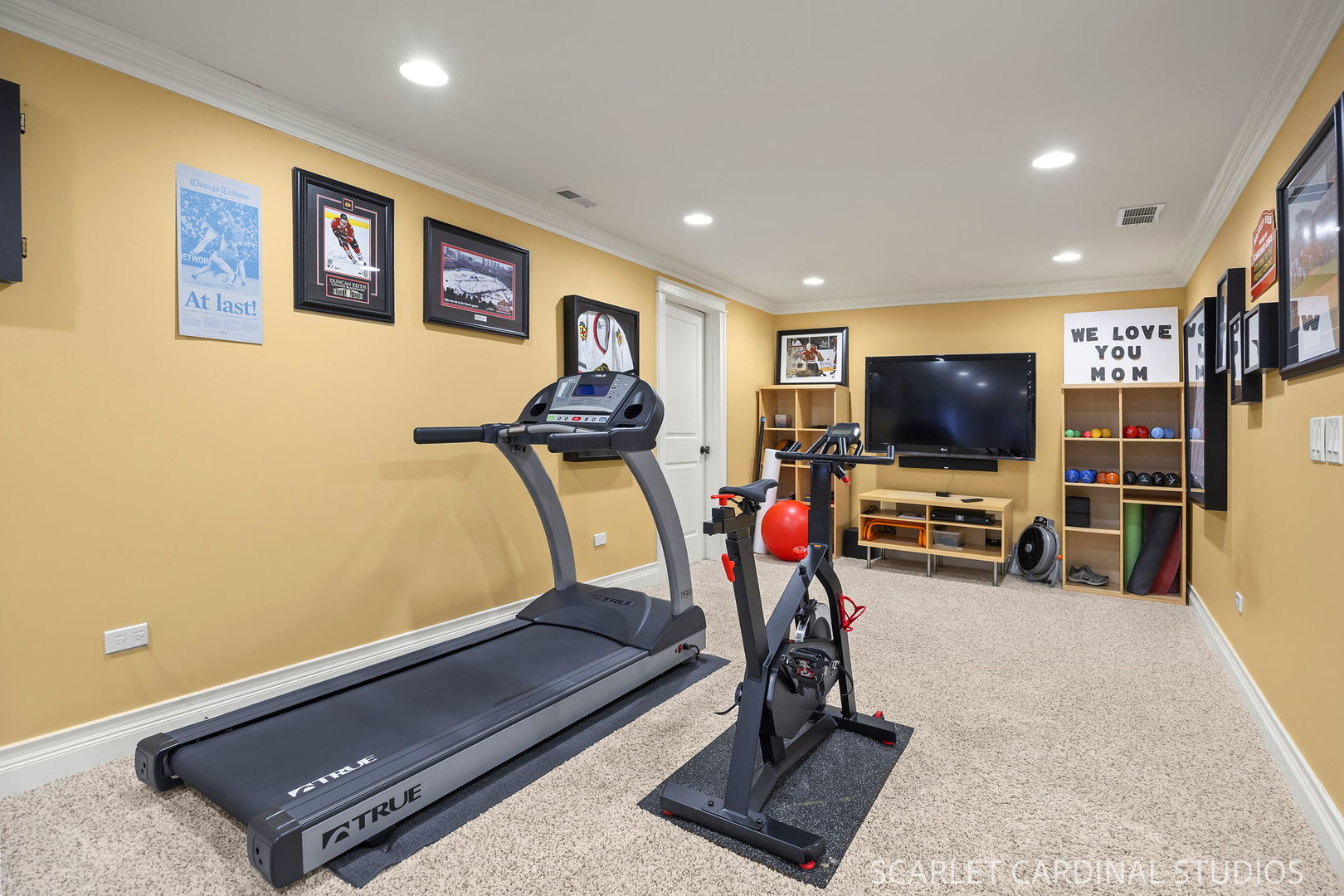 532 Turf Lane Wheaton IL 60187