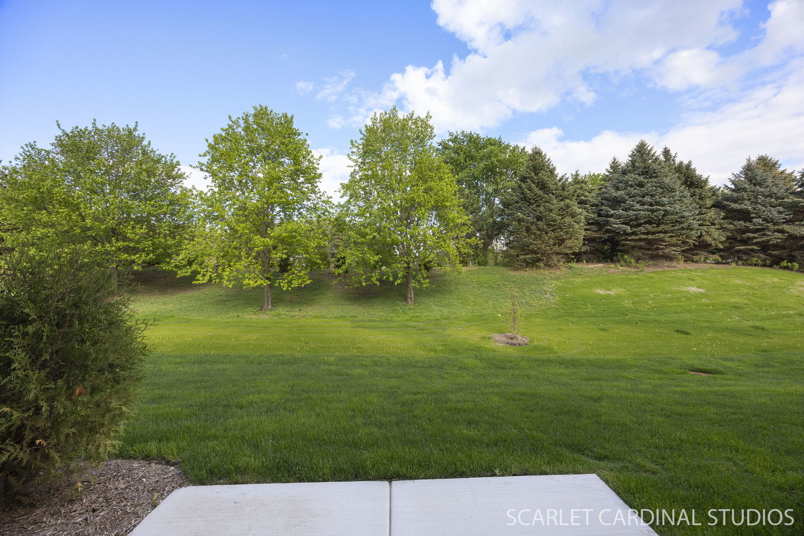 8490 Cornelia Lane Woodridge IL 60517