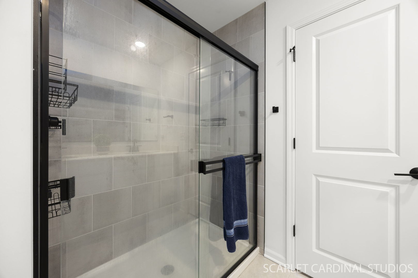 8490 Cornelia Lane Woodridge IL 60517