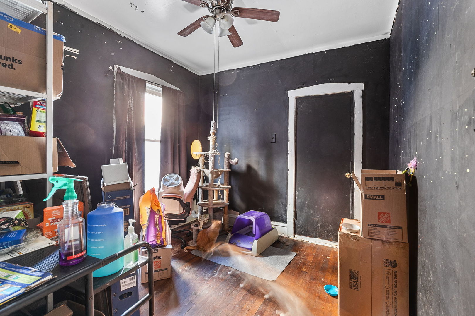 4842 West Belden Avenue Chicago IL 60639