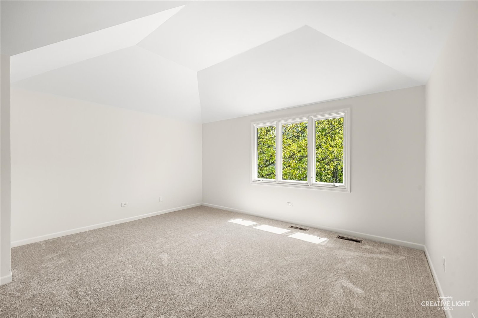 495 Prairie Knoll Drive Naperville IL 60565