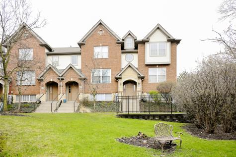 219 Riverfront Drive Mount Prospect IL 60056