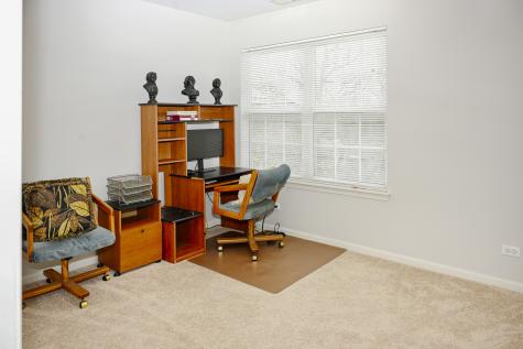 219 Riverfront Drive Mount Prospect IL 60056