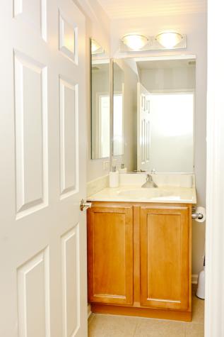 219 Riverfront Drive Mount Prospect IL 60056