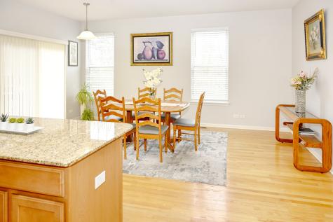 219 Riverfront Drive Mount Prospect IL 60056