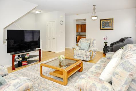 219 Riverfront Drive Mount Prospect IL 60056
