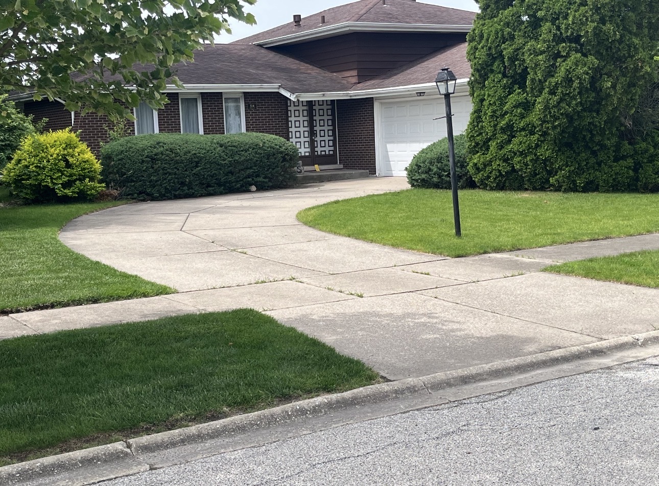 514 Willow Lane Beecher IL 60401