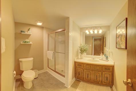 15656 South Walnut Court Homer Glen IL 60491