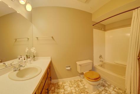 15656 South Walnut Court Homer Glen IL 60491