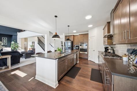 1842 Coralito Lane Elgin IL 60124