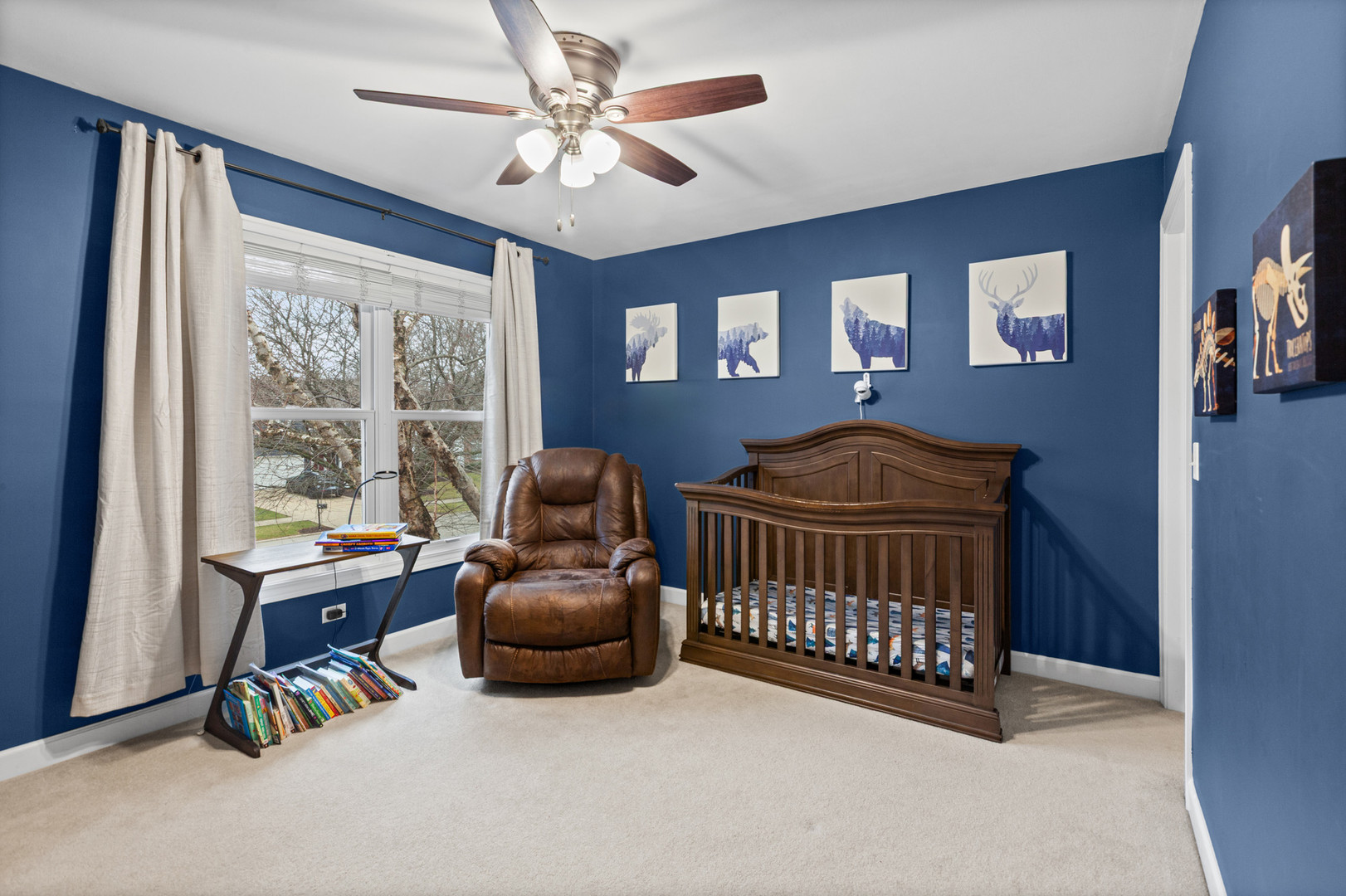 15235 Hamlin Street Plainfield IL 60544