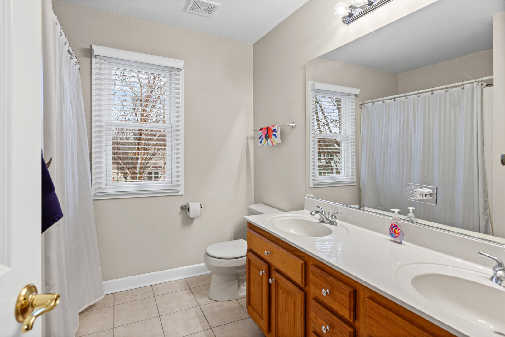 15235 Hamlin Street Plainfield IL 60544