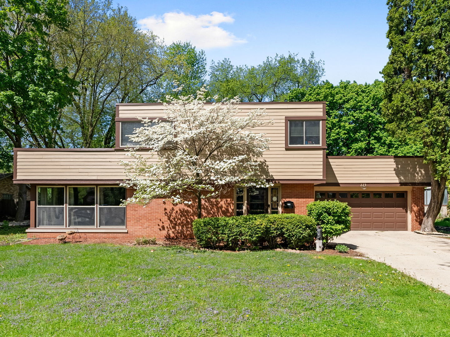 225 South Gladstone Avenue Aurora IL 60506