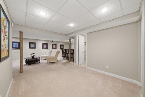 877 North Dovington Drive Hoffman Estates IL 60169