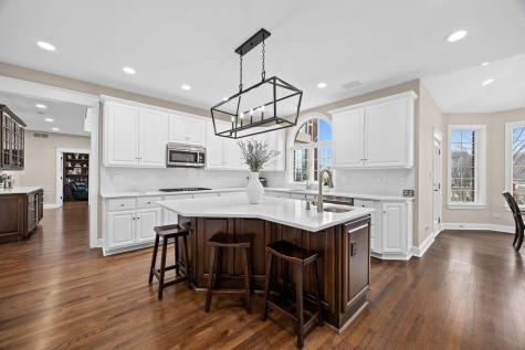 10825 Green Manor Court Orland Park IL 60467