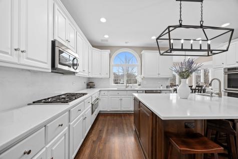 10825 Green Manor Court Orland Park IL 60467