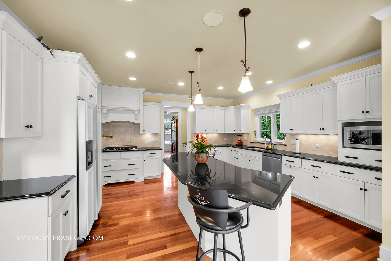 3707 Junebreeze Lane Naperville IL 60564