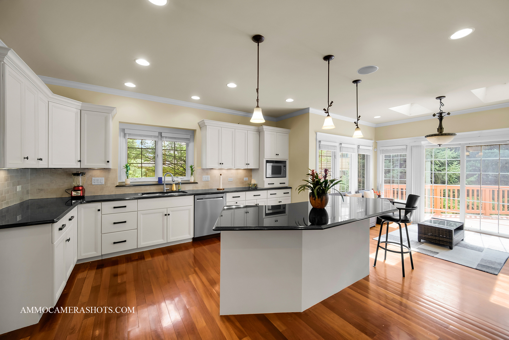 3707 Junebreeze Lane Naperville IL 60564