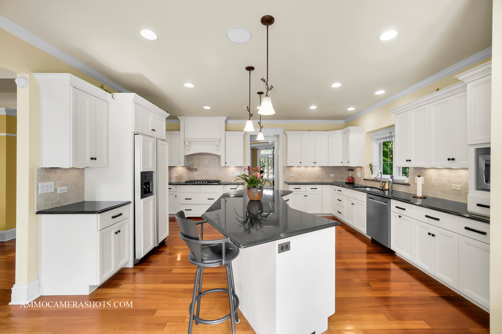 3707 Junebreeze Lane Naperville IL 60564