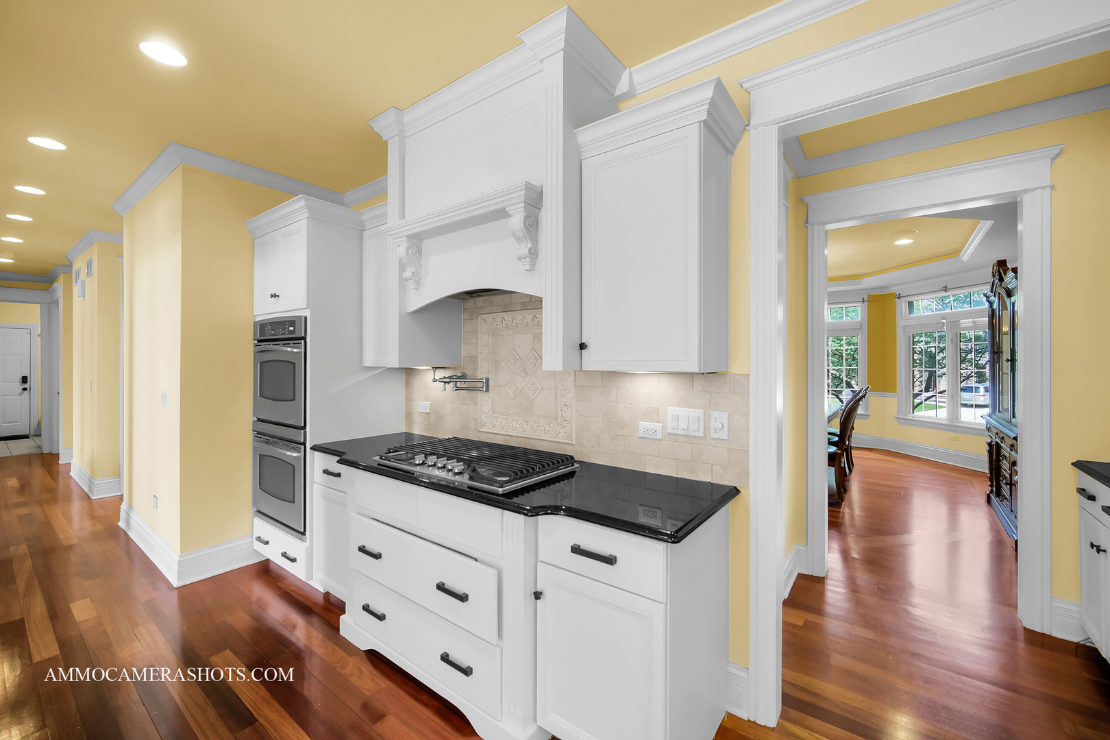 3707 Junebreeze Lane Naperville IL 60564