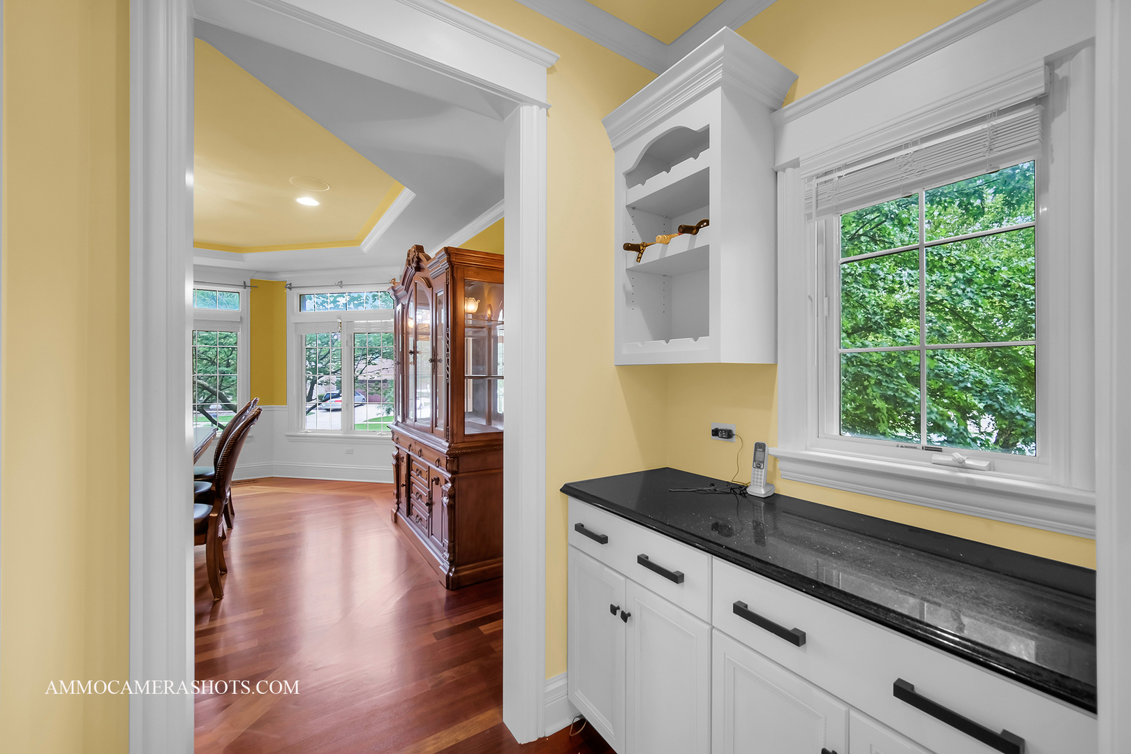 3707 Junebreeze Lane Naperville IL 60564