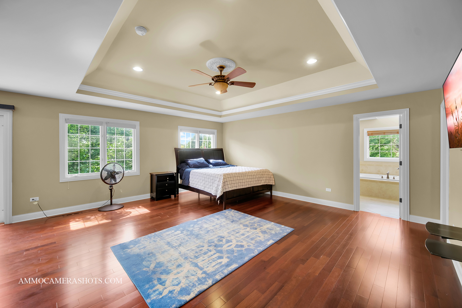 3707 Junebreeze Lane Naperville IL 60564