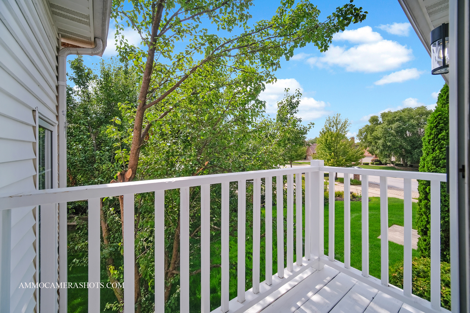 3707 Junebreeze Lane Naperville IL 60564