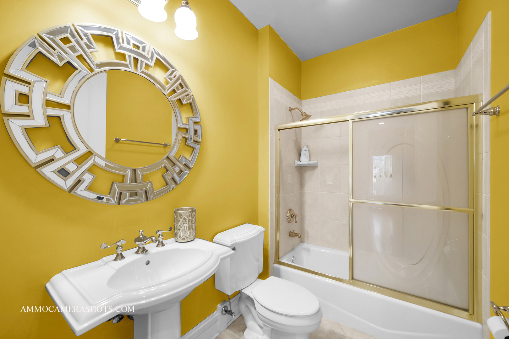 3707 Junebreeze Lane Naperville IL 60564