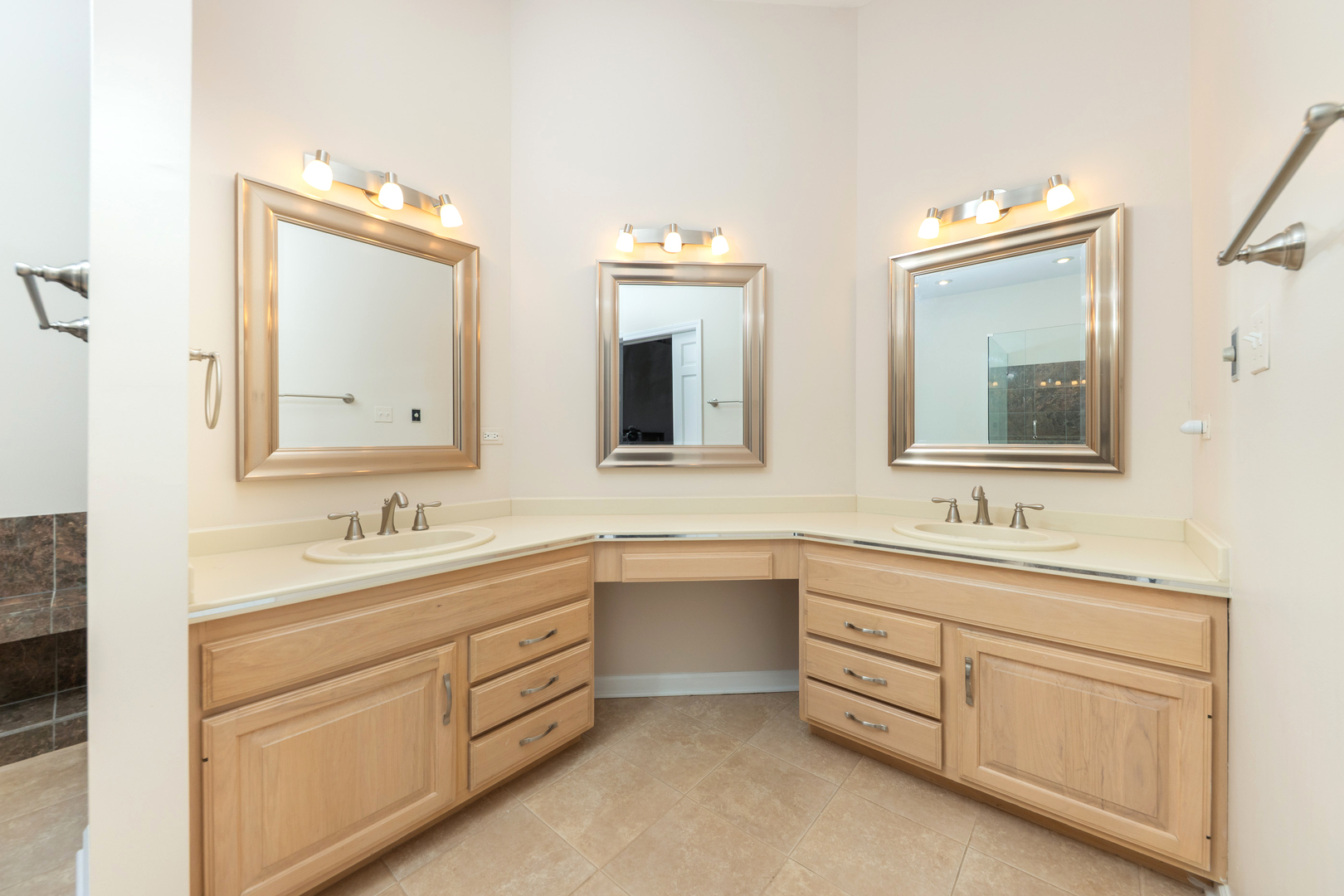 1437 Ambleside Circle Naperville IL 60540