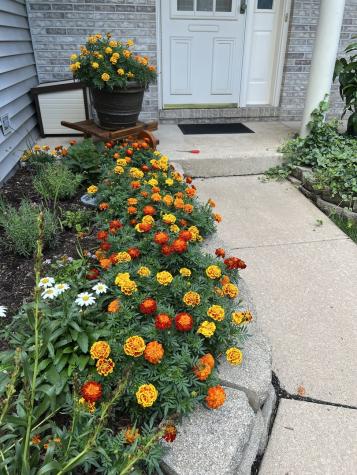3195 Village Green Drive Aurora IL 60504