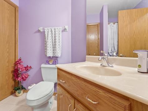 4533 Morning Glory Drive Matteson IL 60443