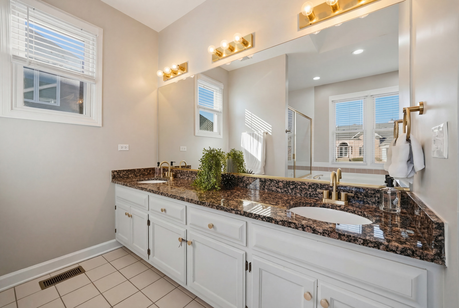 13202 Lakepoint Drive Plainfield IL 60585