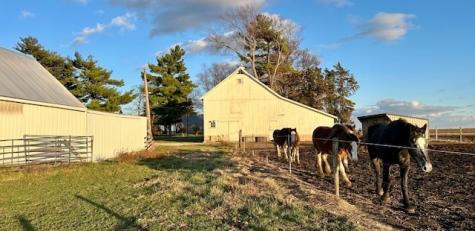 86 County Road 575 Pesotum IL 61863