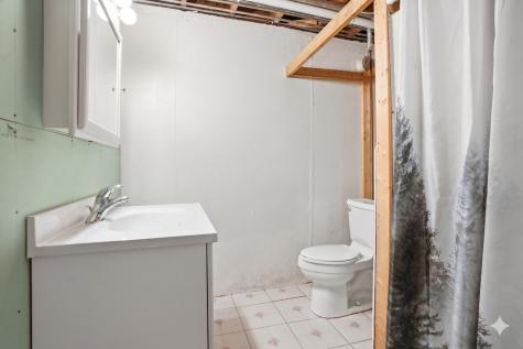 13 Wild Cherry Lane Palos Park IL 60464