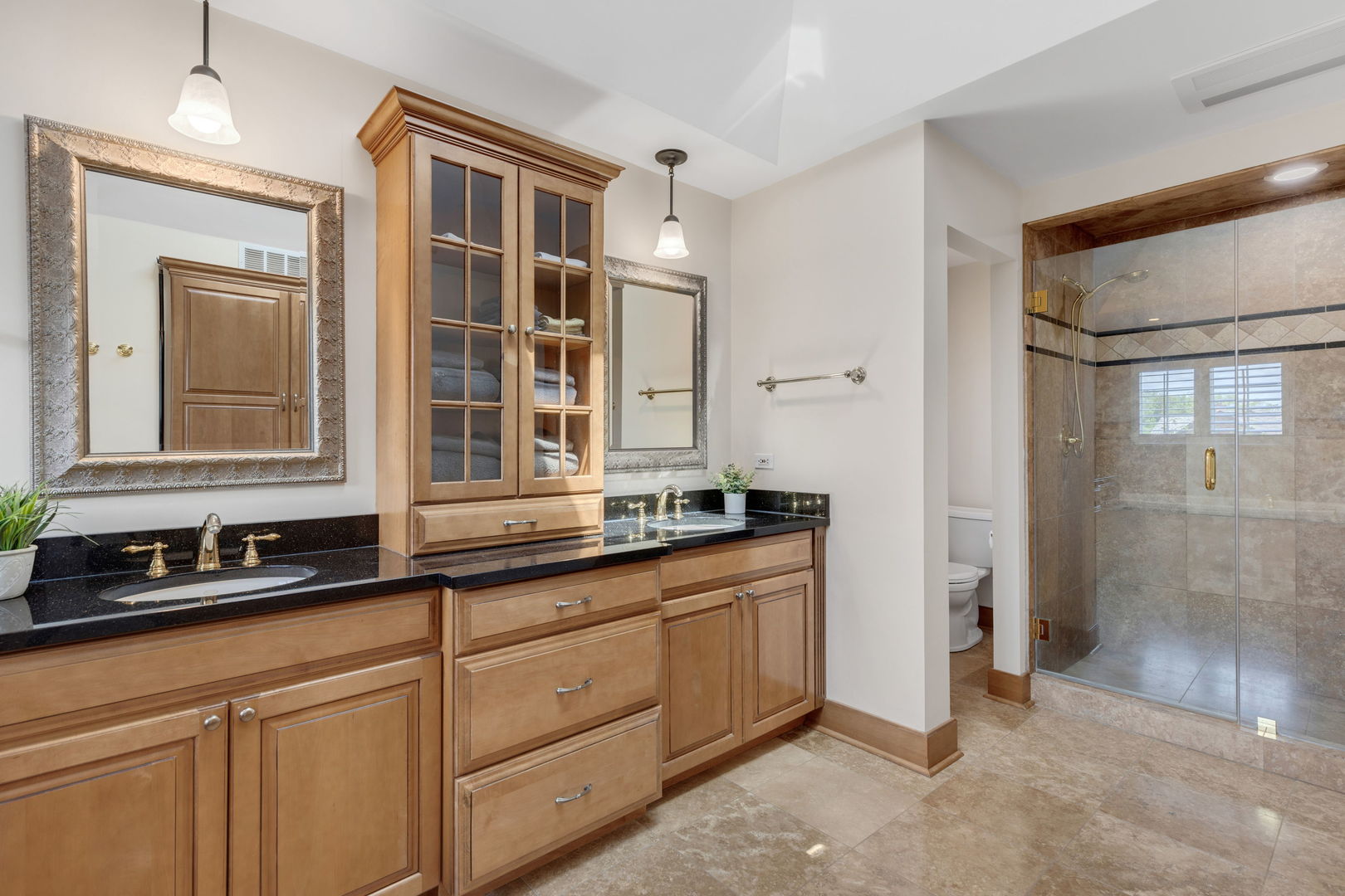 119 Saddle Brook Drive Oak Brook IL 60523