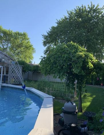 856 Quail Drive Bradley IL 60915