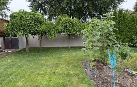 856 Quail Drive Bradley IL 60915