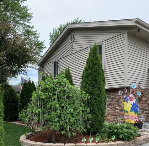 856 Quail Drive Bradley IL 60915