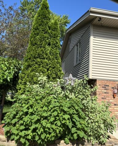 856 Quail Drive Bradley IL 60915