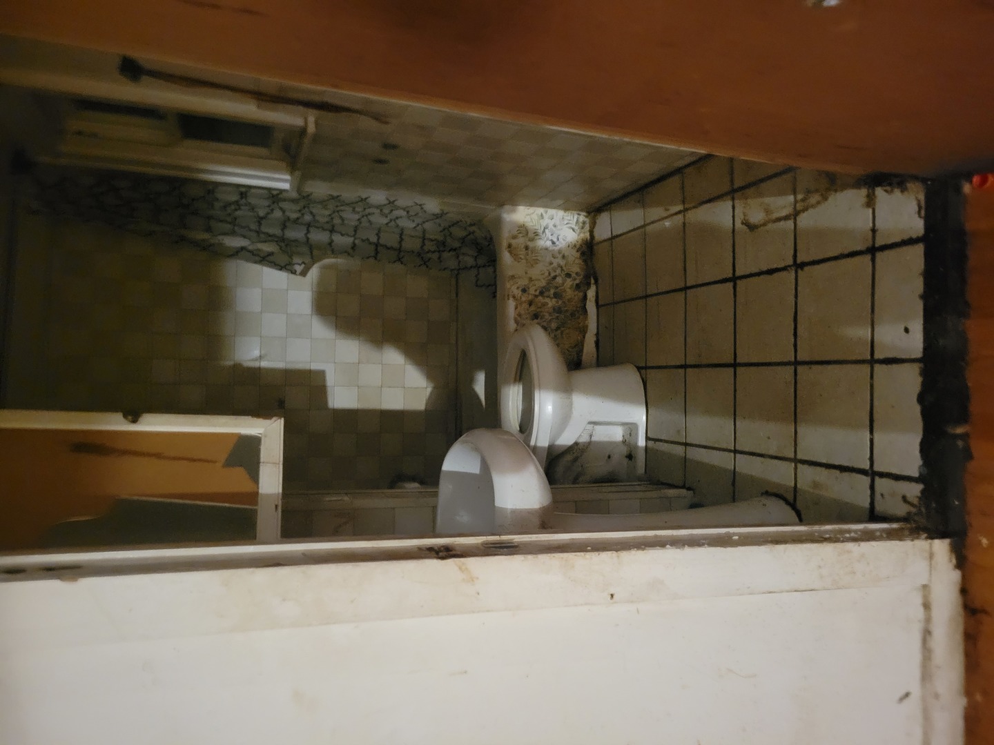 1412 East 75th Street Chicago IL 60619