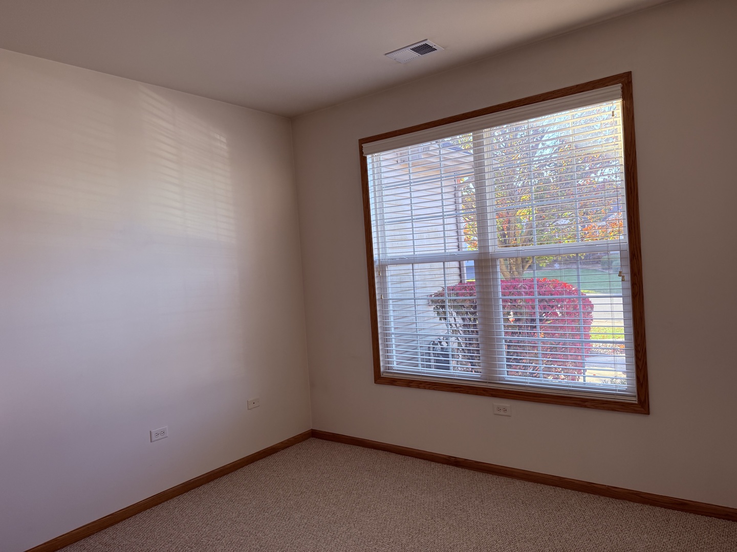 17009 Mendota Drive Lockport IL 60441