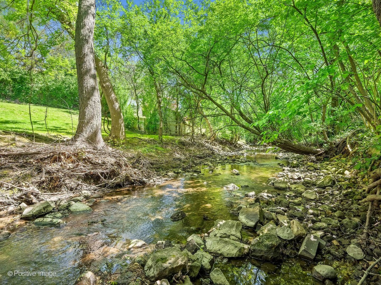 832 Bemis Road Glen Ellyn IL 60137
