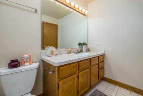 16231 Lake Villa Avenue Tinley Park IL 60477