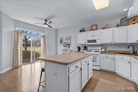 6421 Cherrywood Court Fox Lake IL 60020