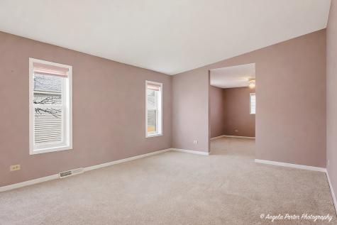 4 Hialeah Court Grayslake IL 60030